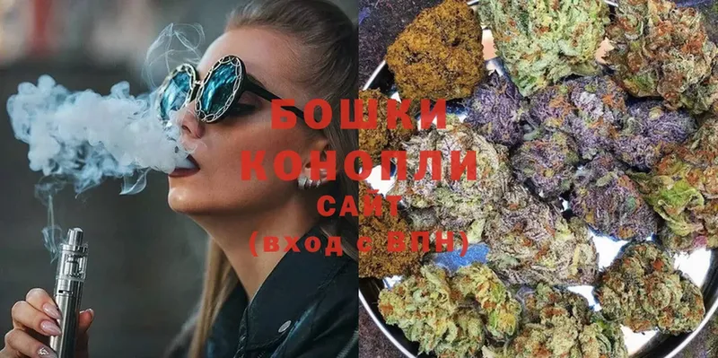 Шишки марихуана Ganja  Солигалич 